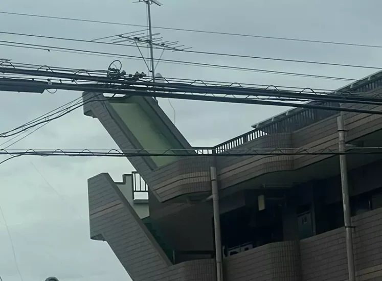 日本大楼顶楼现神秘阶梯,网友脑洞解密“到底是啥用处”? - 奇趣星球报 - 奇趣星球报