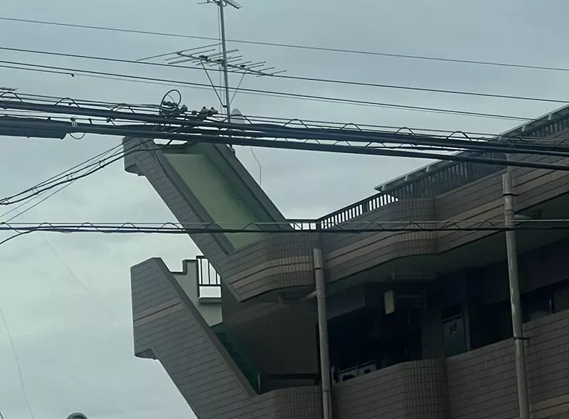 我的世界基岩版【】下载 我的世界基岩版【】下载