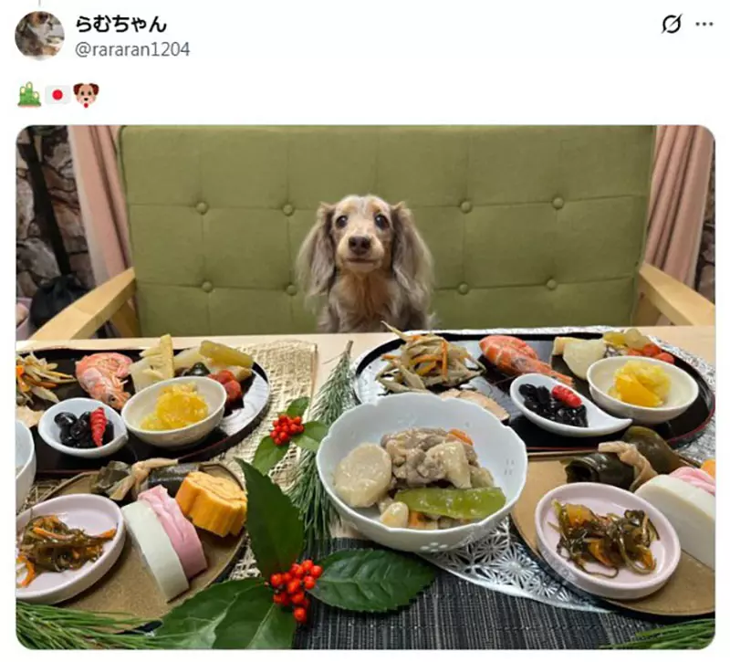 坐在椅子上《乖乖被拍照的狗》日本网友好奇这种狗狗真的很多吗? 坐在椅子上《乖乖被拍照的狗》日本网友好奇这种狗狗真的很多吗?