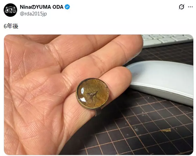 《真实版侏儸纪公园》日本模型师封存叮了自己的蚊子 将来就靠他的血復活人类了 《真实版侏儸纪公园》日本模型师封存叮了自己的蚊子 将来就靠他的血復活人类了