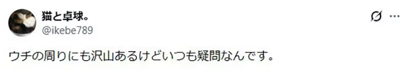日本驱猫偏方《宝特瓶装水》根本没用为什么还是这么多人做？