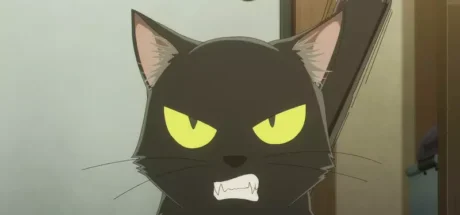 日本动画《黑炬 BLACK TORCH》官方近日发布首波PV!明年暑假期间与观众正式见面! - 奇趣星球报