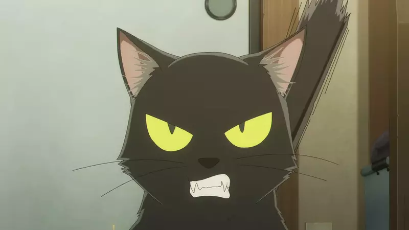 日本动画《黑炬 BLACK TORCH》官方近日发布首波PV!明年暑假期间与观众正式见面! - 奇趣星球报