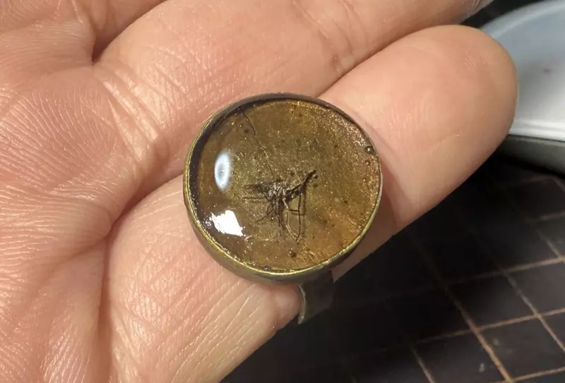 《真实版侏儸纪公园》日本模型师封存叮了自己的蚊子 将来就靠他的血復活人类了 《真实版侏儸纪公园》日本模型师封存叮了自己的蚊子 将来就靠他的血復活人类了