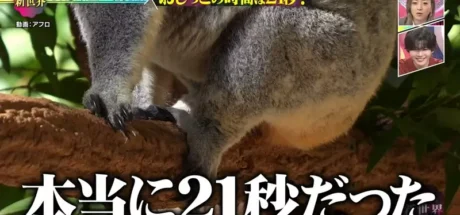 日本电视台探讨“搞笑诺贝尔奖”，专家验证体重超过3公斤的哺乳动物，排尿时长真的能控制在21秒左右吗！ - 奇趣星球报