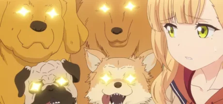 日本网友好奇“狗狗是如何乖乖坐在椅子上被拍照的”,哪怕桌上铺满美食却依然专注望向镜头!这种狗狗真的很多吗! - 奇趣星球报