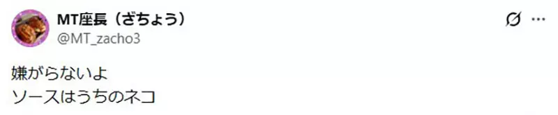 日本驱猫偏方《宝特瓶装水》根本没用为什么还是这么多人做？