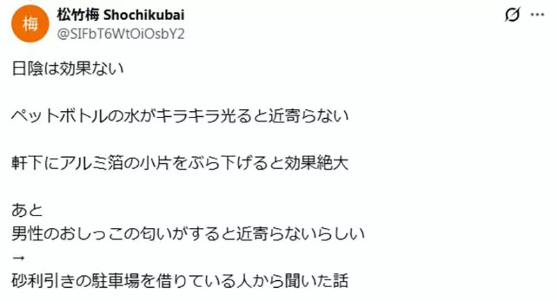 日本驱猫偏方《宝特瓶装水》根本没用为什么还是这么多人做？