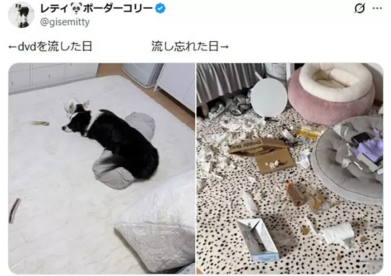 我的世界基岩版【】下载