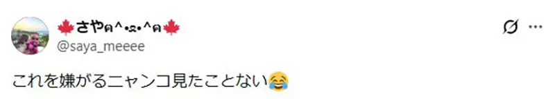 日本驱猫偏方《宝特瓶装水》根本没用为什么还是这么多人做？