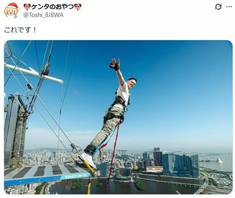 我的世界基岩版【】下载 我的世界基岩版【】下载