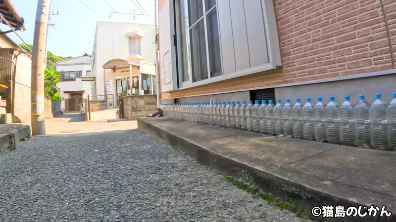 日本驱猫偏方《宝特瓶装水》根本没用为什么还是这么多人做？