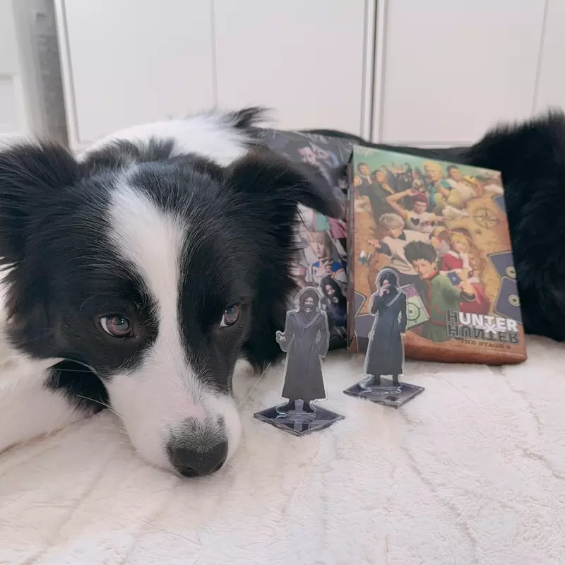 我的世界基岩版【】下载