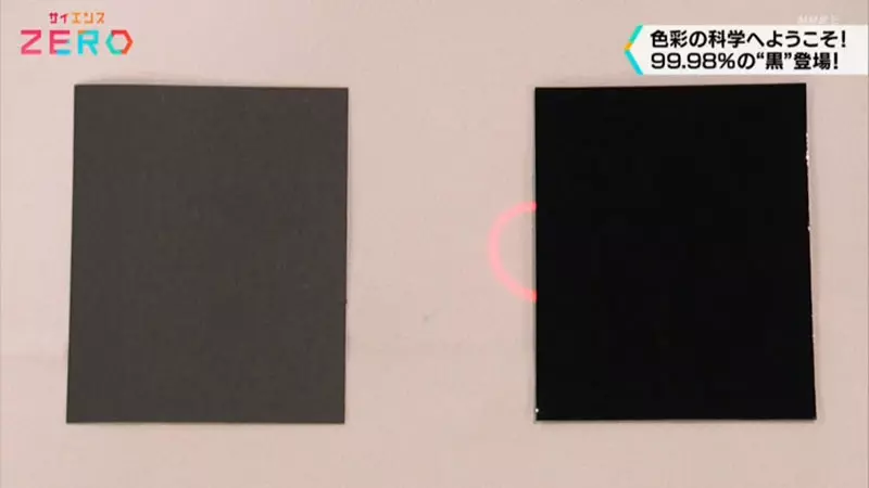 《超爱黑色的日本研究者》开的车和穿的衣服都要是黑色 连心爱的黑猫也命名为「暗黑」