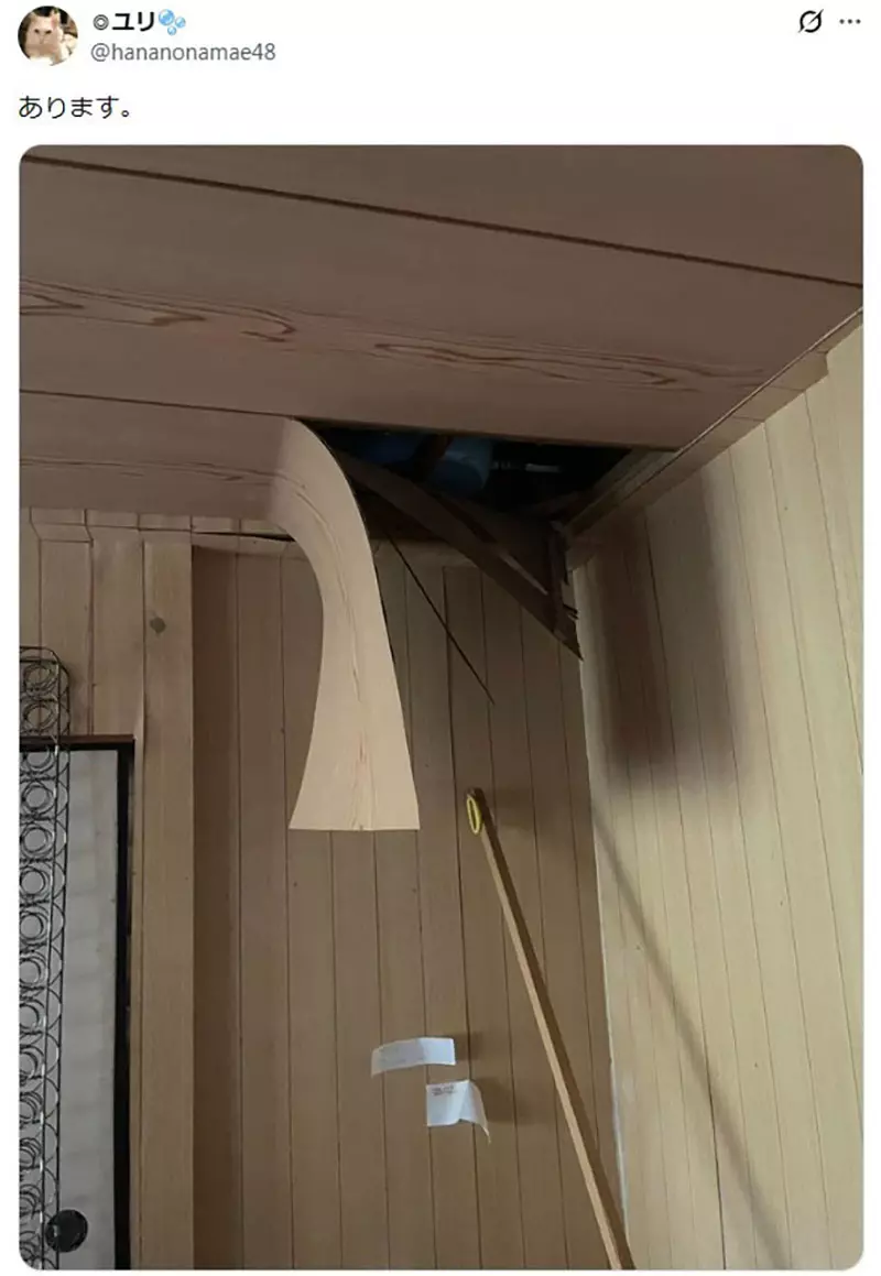 日本猫主人的天花板灾难！你家猫咪也这么能“拆家”吗？