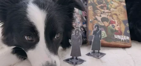 日本网友分享“家里狗狗超爱《猎人》舞台剧”,平时十分调皮!然而看的时候却乖乖地坐好,非常安静! - 奇趣星球报