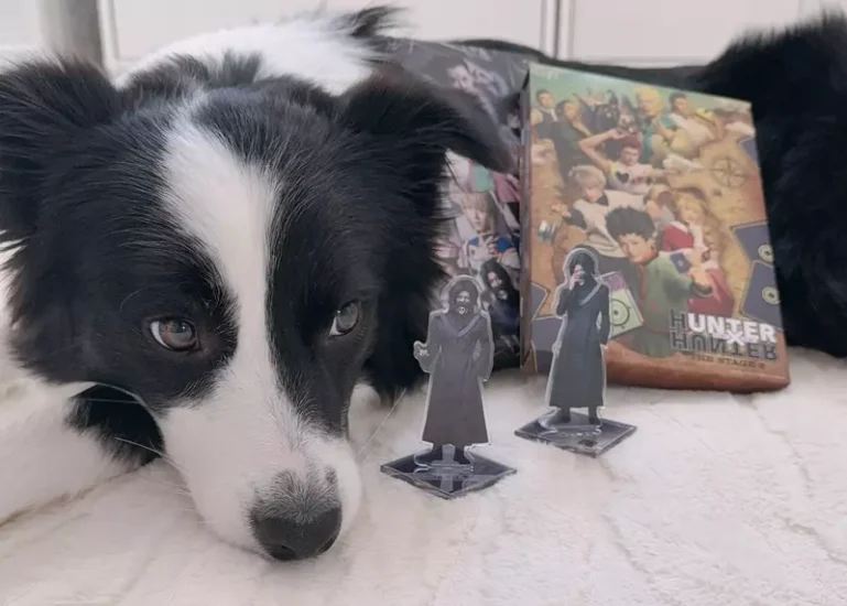 日本网友分享“家里狗狗超爱《猎人》舞台剧”，平时十分调皮！然而看的时候却乖乖地坐好，非常安静！ - 奇趣星球报 - 奇趣星球报