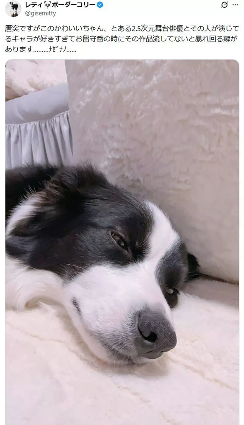 我的世界基岩版【】下载