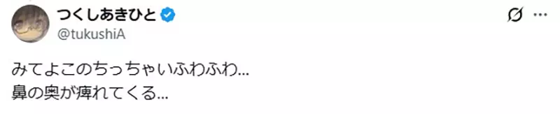 我的世界基岩版【】下载