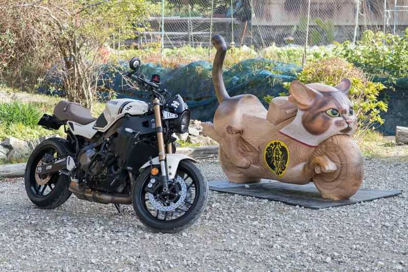 日本「猫寺」画风突变！400年古刹竟藏着一辆「木雕猫咪重机」，骑士狂喜！