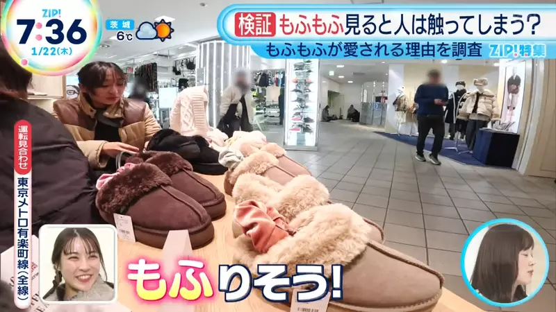 为什么一到冬天日本人就爱穿成熊?日本节目揭秘:这种毛茸茸的触感根本没法拒绝! 为什么一到冬天日本人就爱穿成熊?日本节目揭秘:这种毛茸茸的触感根本没法拒绝!