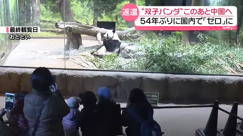 外交风波波及二次元?日本时隔54年迎零熊猫时代,《咒术回战》名场面竟成绝版历史! 外交风波波及二次元?日本时隔54年迎零熊猫时代,《咒术回战》名场面竟成绝版历史!