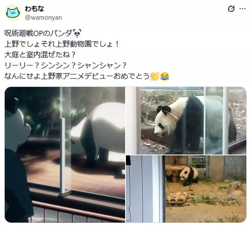 外交风波波及二次元?日本时隔54年迎零熊猫时代,《咒术回战》名场面竟成绝版历史! 外交风波波及二次元?日本时隔54年迎零熊猫时代,《咒术回战》名场面竟成绝版历史!