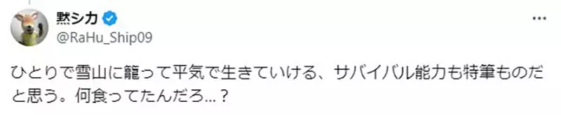 我的世界基岩版【】下载