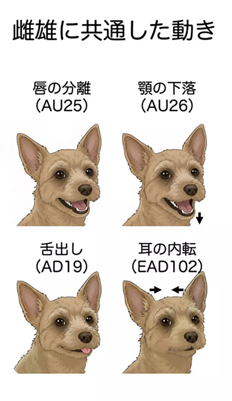 我的世界基岩版【】下载 我的世界基岩版【】下载