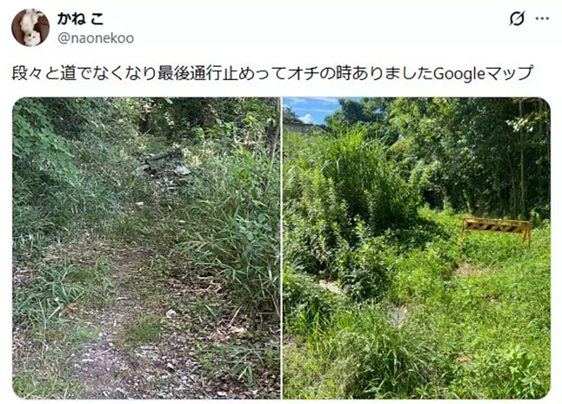 我的世界基岩版【】下载 我的世界基岩版【】下载