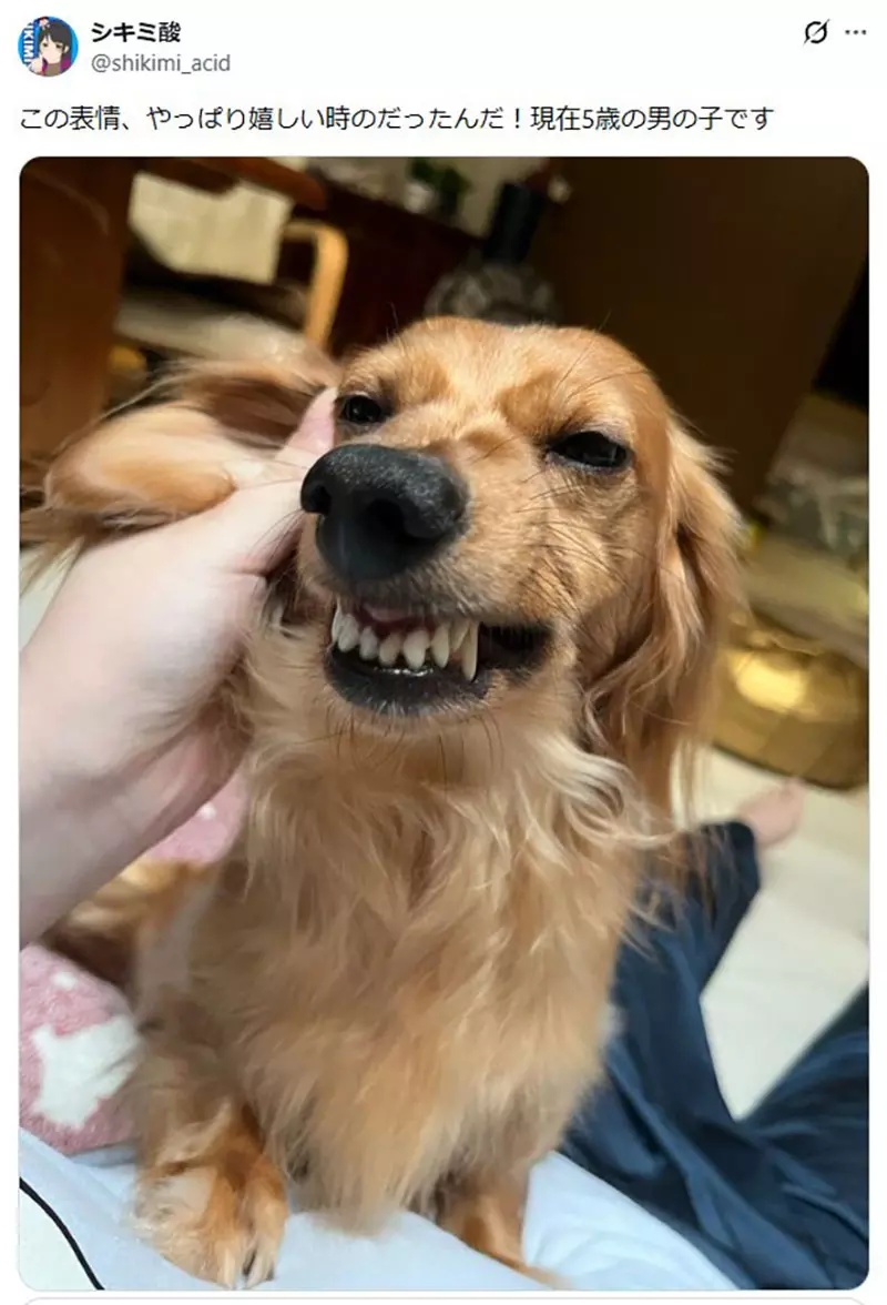 我的世界基岩版【】下载 我的世界基岩版【】下载