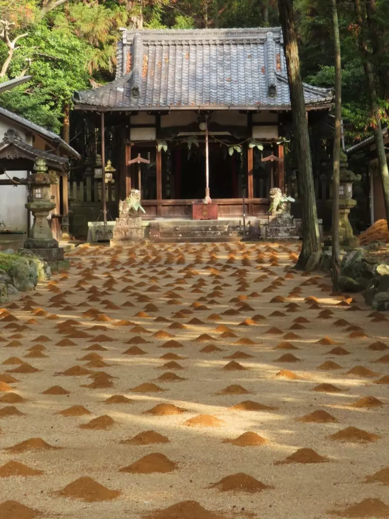 我的世界基岩版【】下载