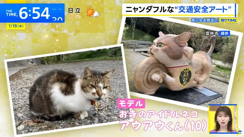 日本「猫寺」画风突变！400年古刹竟藏着一辆「木雕猫咪重机」，骑士狂喜！