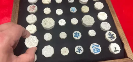日本网友花6年海边捡垃圾竟凑齐一套棋！网友吐槽：是输急眼扔海里的吧？ - 奇趣星球报