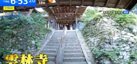 日本「猫寺」画风突变！400年古刹竟藏着一辆「木雕猫咪重机」，骑士狂喜！ - 奇趣星球报