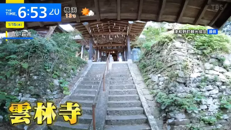 日本「猫寺」画风突变！400年古刹竟藏着一辆「木雕猫咪重机」，骑士狂喜！ - 奇趣星球报 - 奇趣星球报