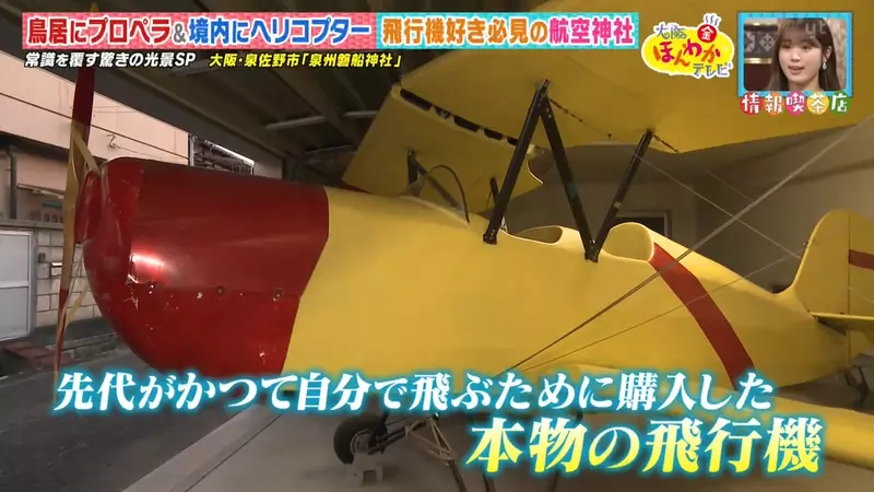 我的世界基岩版【】下载