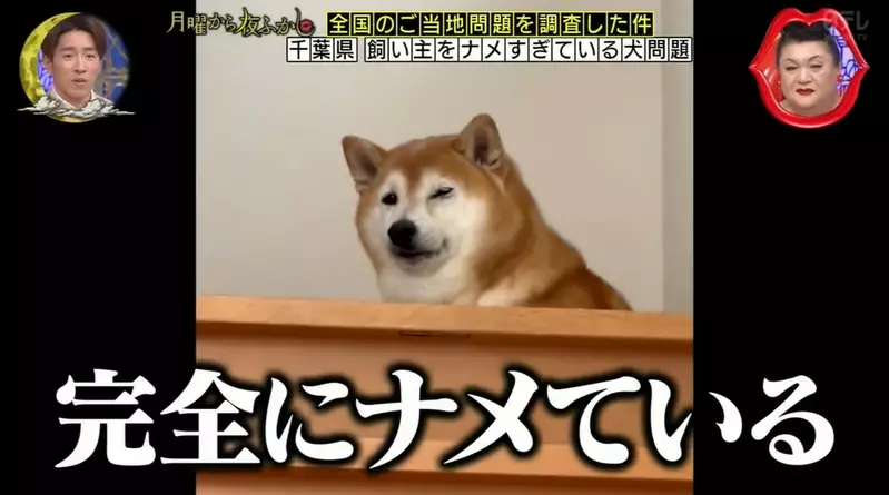 我的世界基岩版【】下载