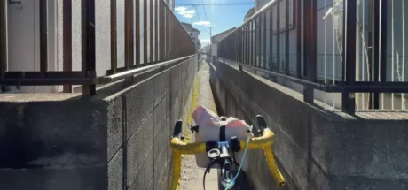 谷歌地图在日本彻底放飞自我？带路全是悬崖荒草，网友含泪吐槽：这是要我不死也没半条命！ - 奇趣星球报