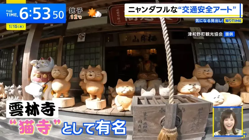 日本「猫寺」画风突变！400年古刹竟藏着一辆「木雕猫咪重机」，骑士狂喜！