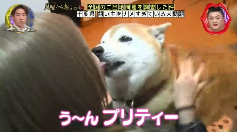 我的世界基岩版【】下载