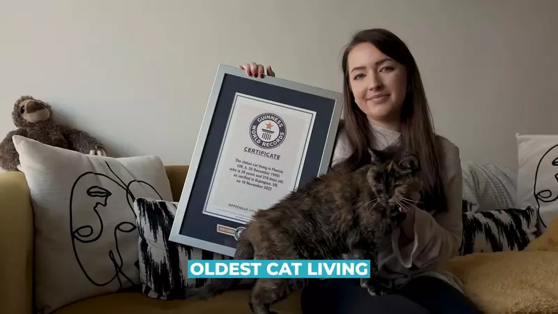 我的世界基岩版【】下载 我的世界基岩版【】下载