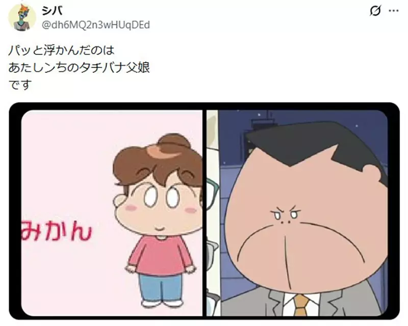 笑翻日本网友的二次元遗传鉴定!特兰克斯是完美混血,但贝吉塔的女儿长那样真的好吗? 笑翻日本网友的二次元遗传鉴定!特兰克斯是完美混血,但贝吉塔的女儿长那样真的好吗?