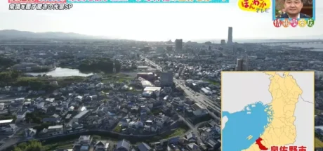 日本大阪神社真的是太硬核了！鸟居不挂牌匾却挂螺旋桨，甚至连谁能考上大学都归它管！ - 奇趣星球报