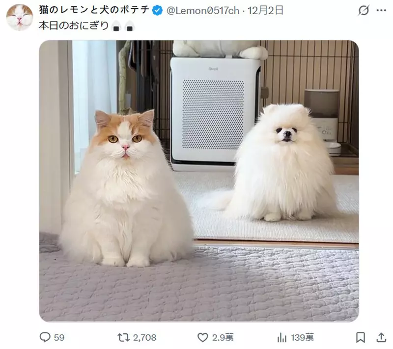 我的世界基岩版【】下载 我的世界基岩版【】下载