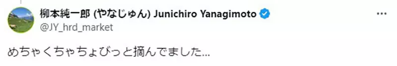 我的世界基岩版【】下载