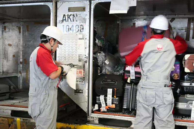 我的世界基岩版【】下载