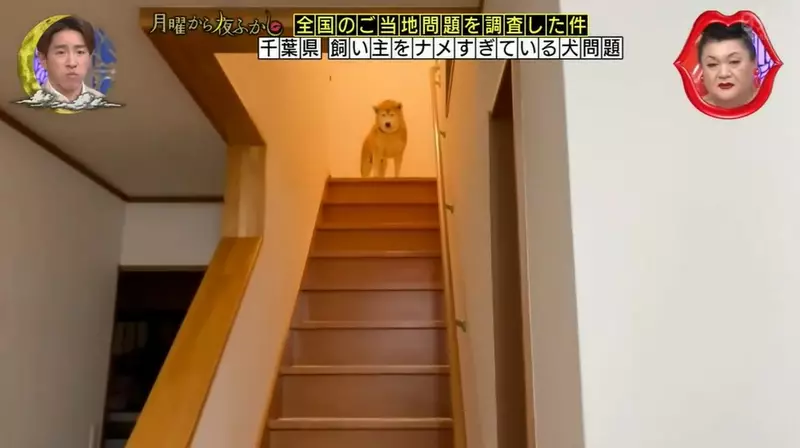 我的世界基岩版【】下载