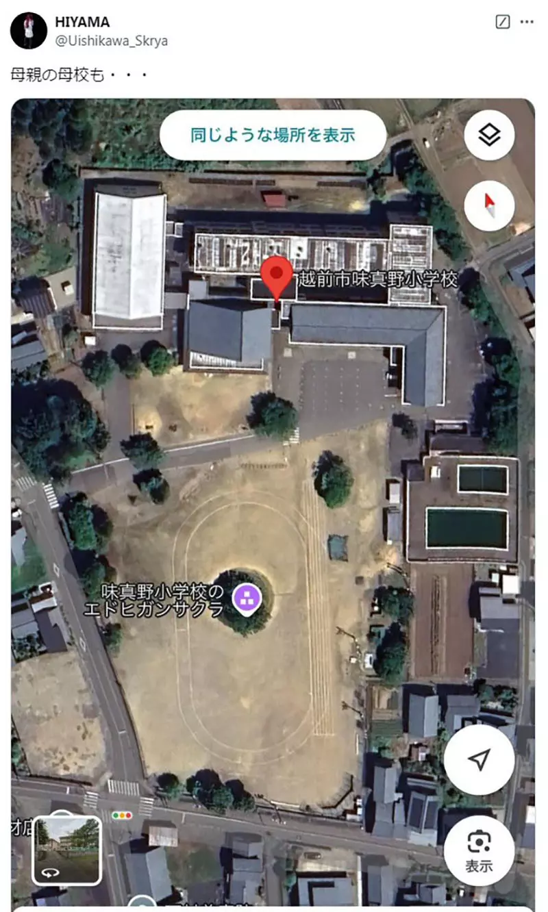 日本校园奇观!操场正中央竟长着参天大树?网友神吐槽:这足球比赛到底怎么踢啊! 日本校园奇观!操场正中央竟长着参天大树?网友神吐槽:这足球比赛到底怎么踢啊!