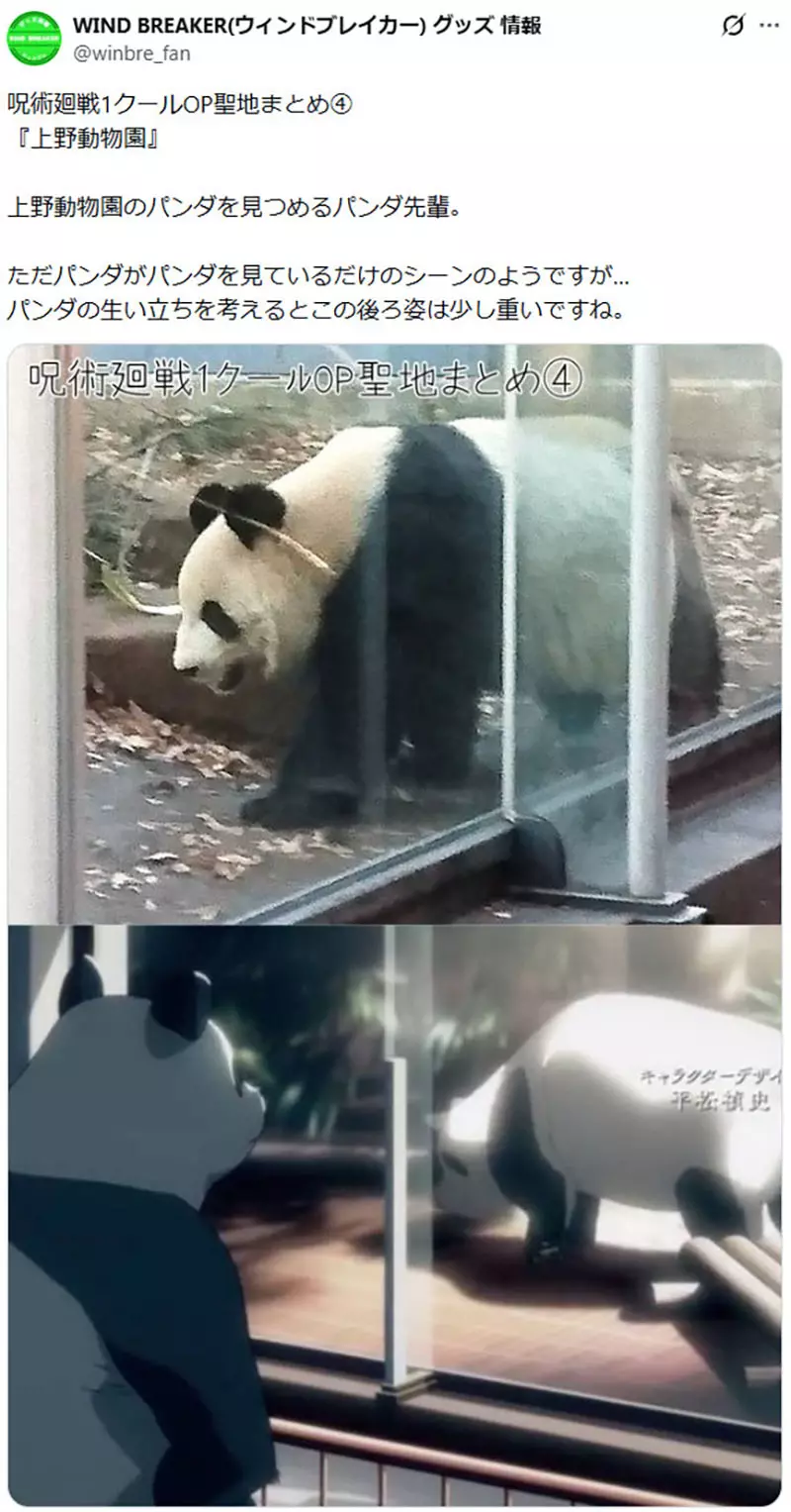 外交风波波及二次元?日本时隔54年迎零熊猫时代,《咒术回战》名场面竟成绝版历史! 外交风波波及二次元?日本时隔54年迎零熊猫时代,《咒术回战》名场面竟成绝版历史!